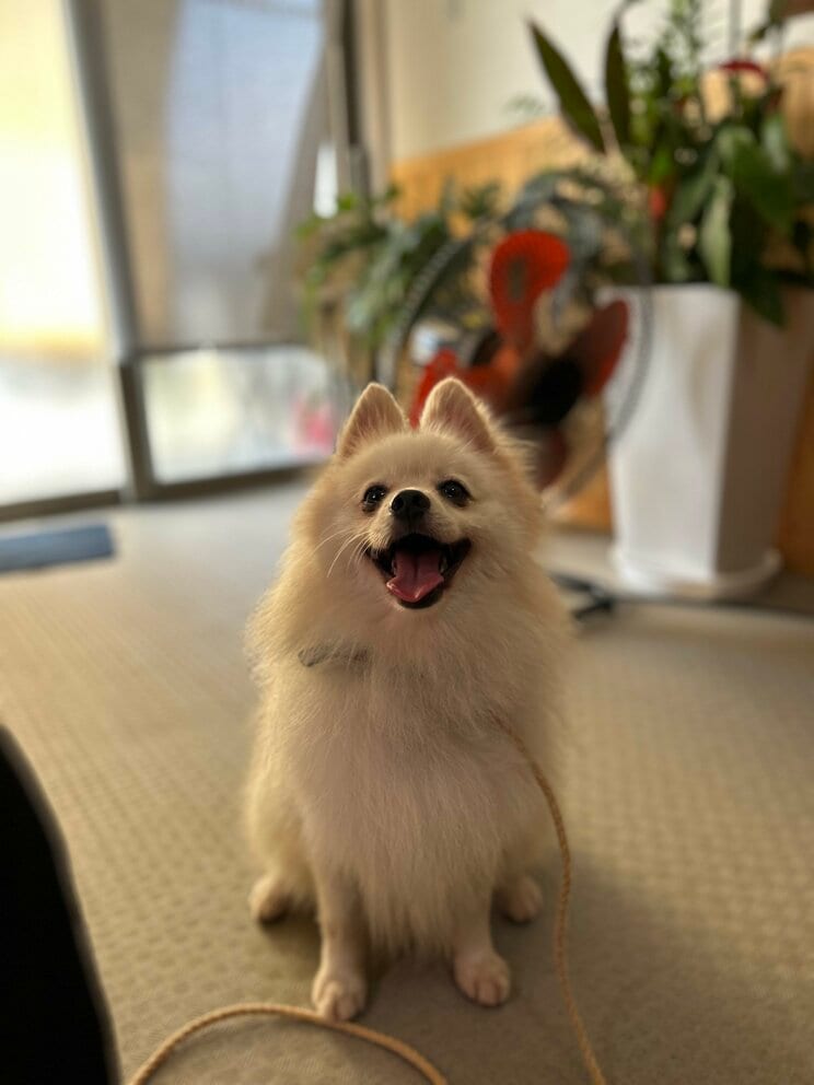 （写真／竹越さん提供）