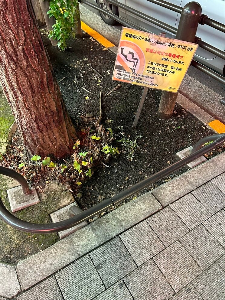 ポイ捨て禁止の看板(編集部撮影)
