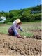 漬物を卸していた農家の70代後半になる鈴木さん(伊勢田さん提供)