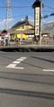 「コーヒーポットが変色して黒ずんだ」八潮市の道路陥没事故から1年9カ月、現場周辺で続く異変と体調不良「散歩中の犬が涙をボロボロ流した」【運転手遺族は1億2500万訴訟】_16