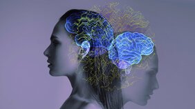 脳が体からの信号を読み間違えると“意図的に疲れた状態”をつくり出してしまう! 誰もが起こす可能性のある「慢性神経炎症」とは?