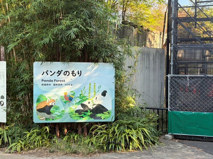 〈旧パンダ舎は解体へ〉入園者2割減…次の主役はハシビロコウ？ 副園長が語った上野動物園の今「またパンダ飼育にチャレンジしていければ」_20