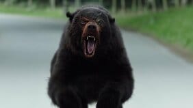 B級系の悪ノリも、背筋が凍るスプラッタもおまかせ? 「クマ映画」が抜群におもしろいのには理由がある!〜傑作クマ映画5選