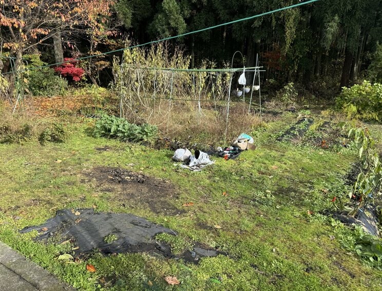 撮影／集英社オンライン