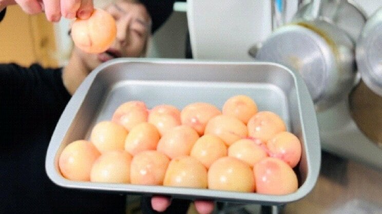 アブラツノザメの卵 　（写真提供／激せま水産）