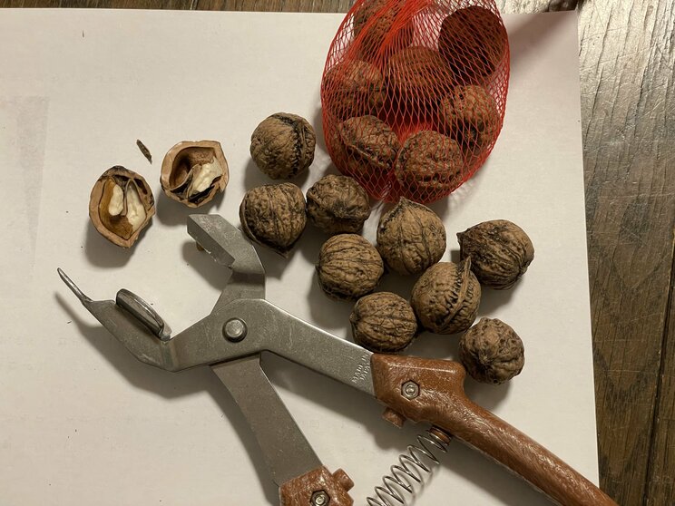 結局、ネットでくるみ割り器を買い、美味しくいただきました