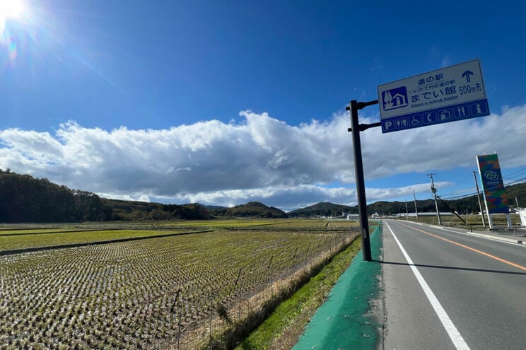 2025年、秋。飯舘村中心部の「道の駅」近くの田園。すでに刈り取りが終わっていたが、少し緑がかったひこばえが芽をふいていた。撮影：青木理