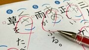 自由研究・読書感想文は絶滅の危機? 令和の小学生の「夏休みの宿題」が激減している理由
