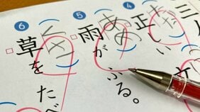 自由研究・読書感想文は絶滅の危機? 令和の小学生の「夏休みの宿題」が激減している理由