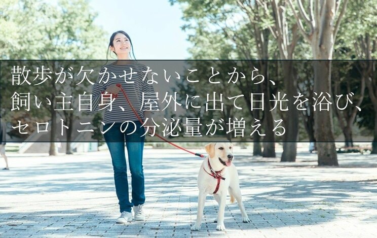人の幸福度を上げてくれるのは猫よりも犬？　最新の研究が明らかにしたその納得の理由_4