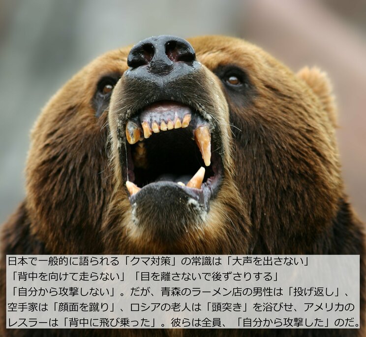 クマに襲われ「投げ返した」青森のラーメン店員、「頭突き」で撃退した80歳老人…クマサバイバーたちの驚きの共通行動_4