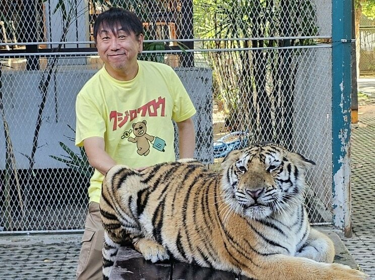 タイで虎とたわむれる久慈さん