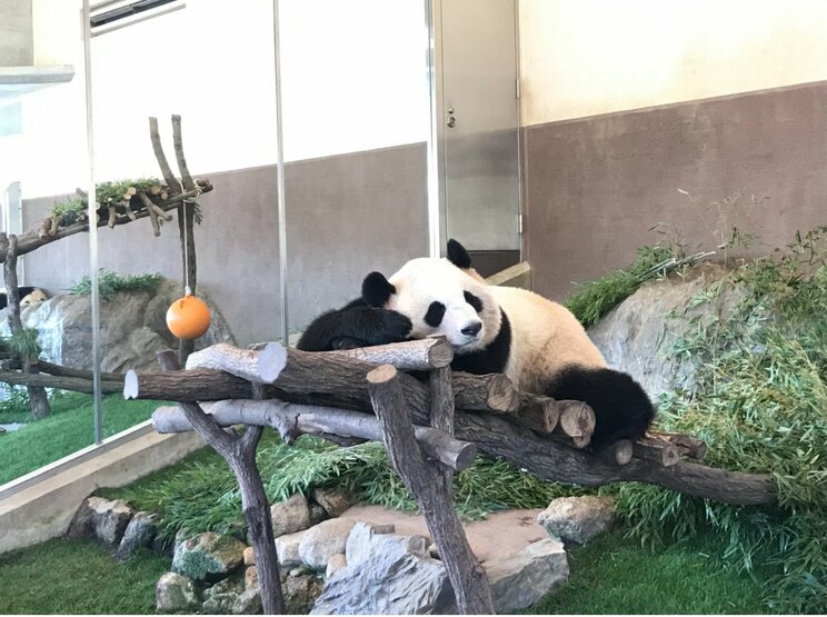 石田さんお気に入りの一枚。まったり過ごす結浜（写真／石田さん）