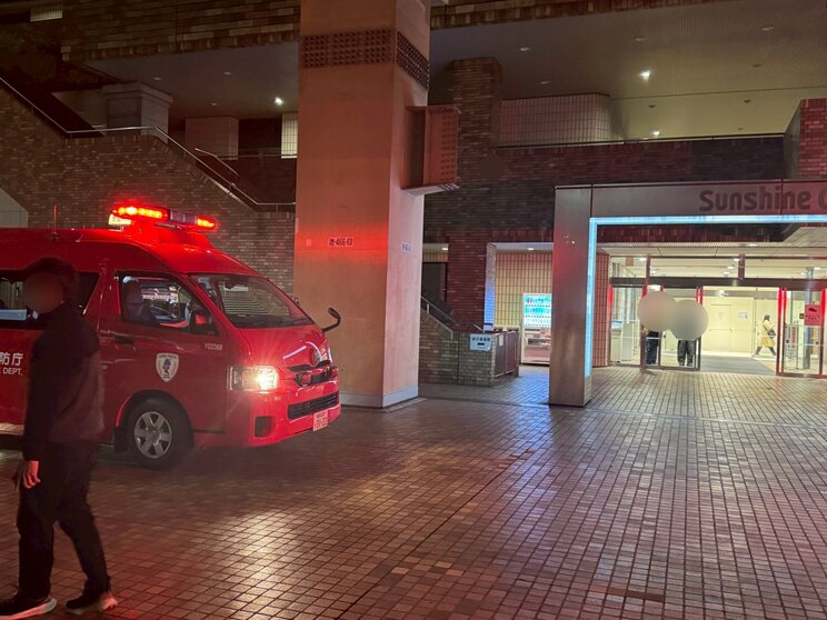 （撮影／集英社オンライン）