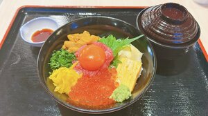 松岡充 | 集英社オンライン | ニュースを本気で噛み砕け