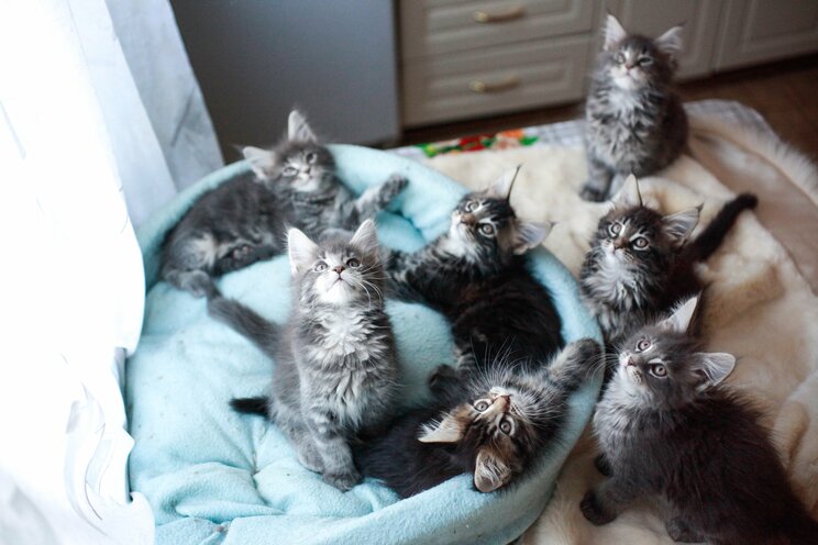 写真／Shutterstock ※写真はイメージ