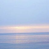 私のウェルネスを探して