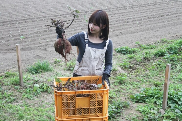 「さつまいも農家タレント」の上西萌々（撮影／千駄木雄大）