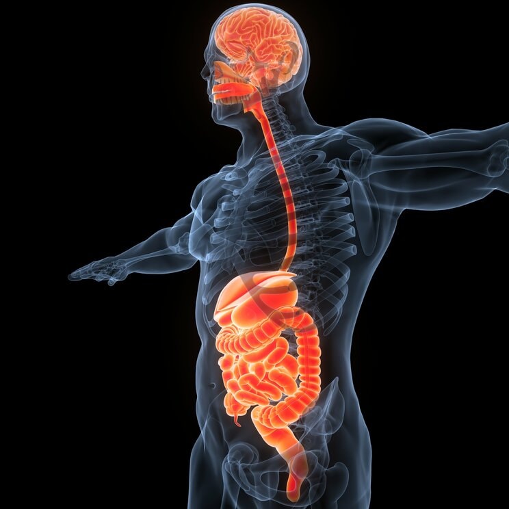 イラストはイメージです　イラスト／Shutterstock