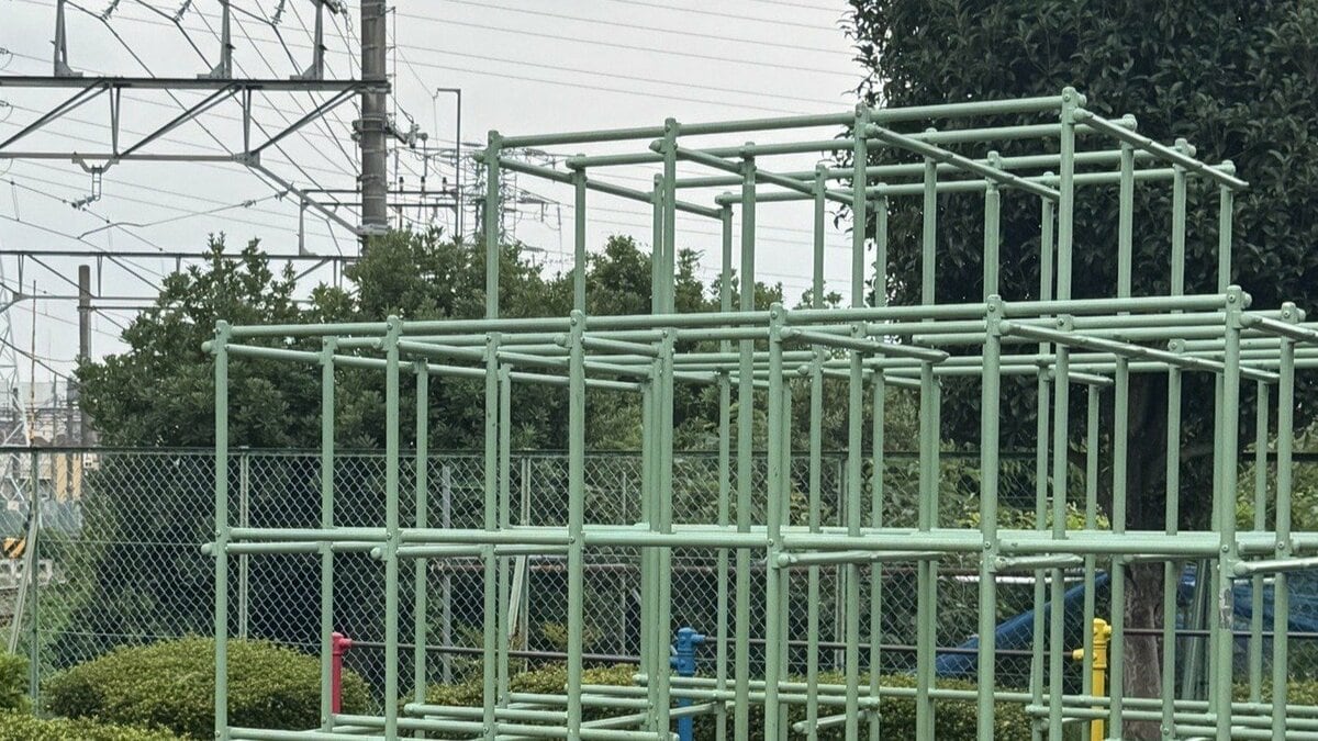 〈撮り鉄集団暴行＆強奪〉「カメラと50万円よこせ」中学生の仲間を撮影ポイントに呼び出し暴行…通行人を“ゴミ、邪魔者”扱い、問われる「ヤング撮り鉄」のマナー | 集英社オンライン