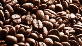 キャニスターで保管は意味なし？ コーヒー豆を劣化させる３つの要因…美味しさをキープするために欠かせないこと