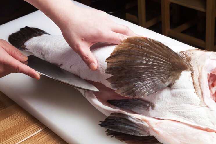 写真はイメージです（写真／Shutterstock）