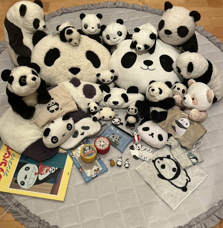 現在はパンダグッズを収集して心を落ち着けているという石田さん。集めたパンダグッズは100個以上にのぼる（写真／石田さん）