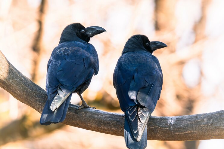 写真はイメージです（写真／PhotoAC）