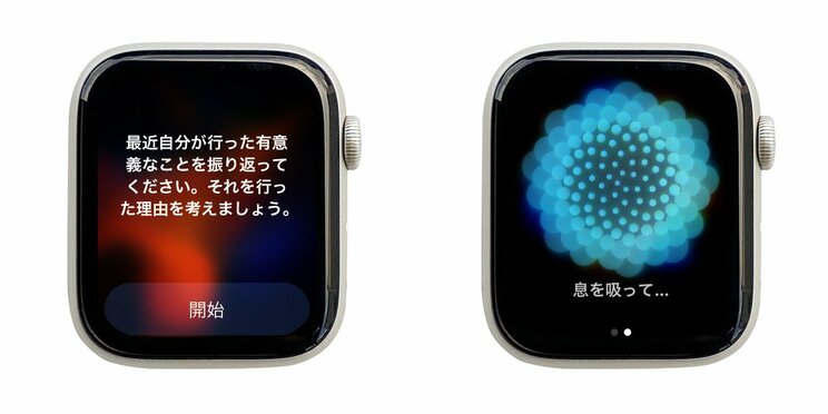 転倒や心拍状態のチェックに、ストレスケアまで… 至れり尽くせりのApple Watchのヘルスケア機能_7