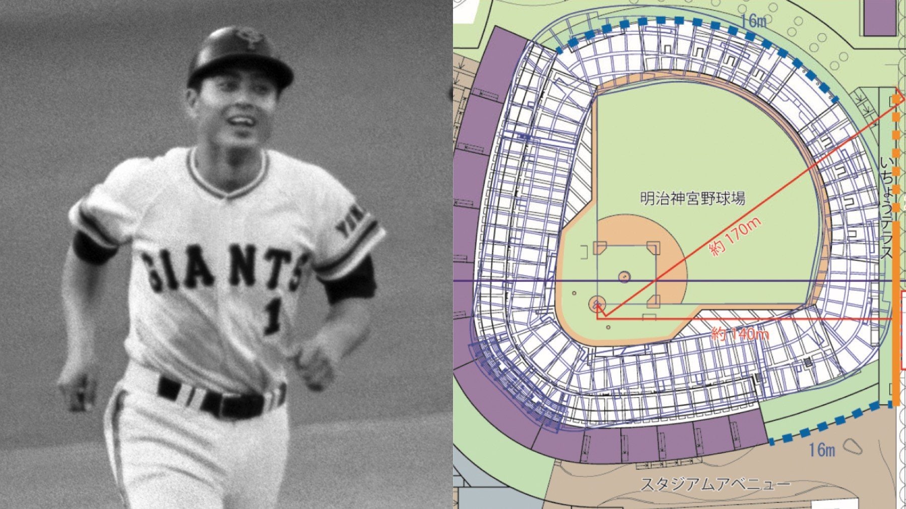 新神宮球場〉開示文書で判明！ 打球の弾道シミュレーションに「1964年
