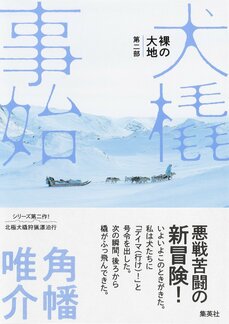 10頭飼ったら年間の維持費はかるく100万円超え。犬橇を始めるハードルの高さと犬集めの苦労_4