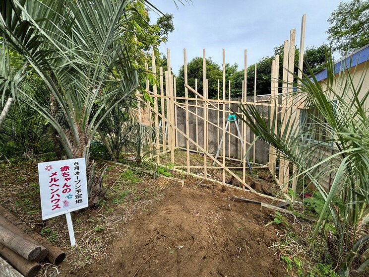 植物園の面影が残る通路