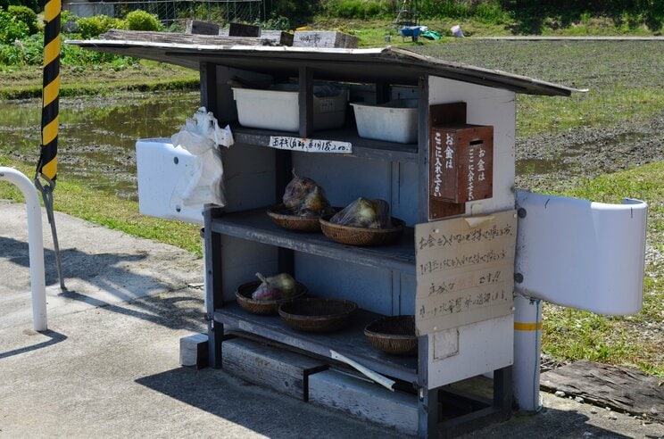 千葉・限界分譲地のリアル「スローライフもミニマルライフも住むメリットも存在しない」そもそも田舎暮らしは節約に向いていない_4