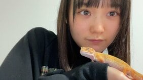 櫻坂46増本綺良が語り尽くす爬虫類愛。ヤモリのペット「モリヤ」「アカネ」との幸せな暮らし「表情も触り心地も人間っぽくて好き」