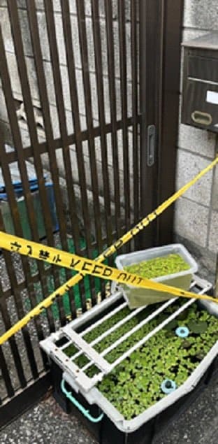 〈品川・母子4人死亡〉妻は心を病み休職、夫は仕事を辞め動画編集業に「本当に気づくようなことはなかったんです」と近所の声_10