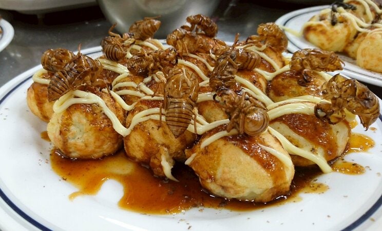 セミたこ焼き