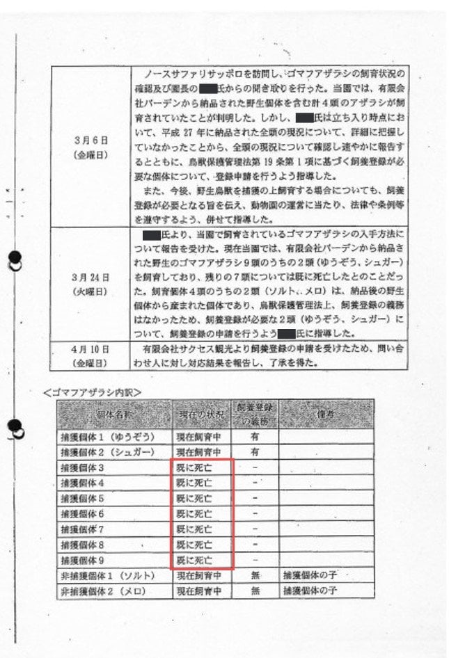 《内部資料入手》5年で7頭のアザラシが死亡、炎上中の“動物と泊まれるコテージ”とは？ 責任者の回答は資料と食い違い…_2