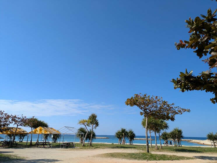 すでに20度に達することも2月の沖縄（写真／集英社オンライン編集部）