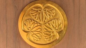 “豊臣家康”とは一体誰のことだ!? 死期を前に、徳川秀忠と江を結婚、千姫と羽柴(豊臣)秀頼を婚約させた秀吉の切なる願いとは