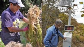 【震災12年】「若い家族は戻ってこない。そんな村に未来があると思いますか?」いまも山菜は高濃度…放射能汚染と闘う農家が起こした「奇跡」と、取り戻せない風景