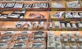 なぜ今「イワシ」が大量に獲れるのか？  安すぎる店頭価格の裏で“魚種交代”が起きている日本の海の異変