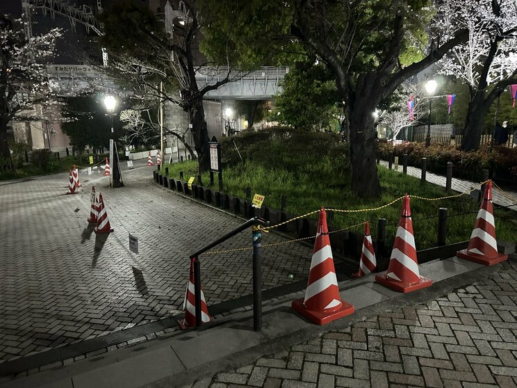 隅田川　花見の後の様子