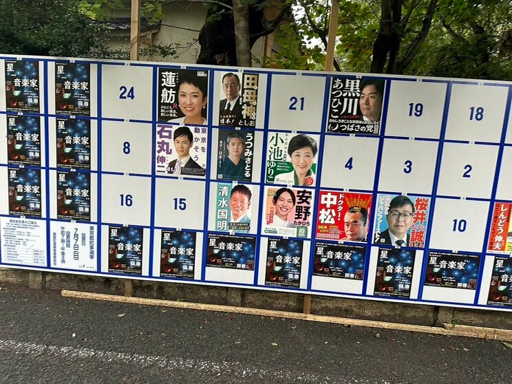 〈カオスすぎる東京都知事選〉ついに脱ぐ女性候補まで現れた！「やりすぎでは？」「選挙をバカにしていませんか？」と本人を直撃「そもそも公約あるんですか？」と聞いてみると…_9