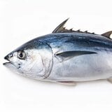 築地コンフィデンシャル