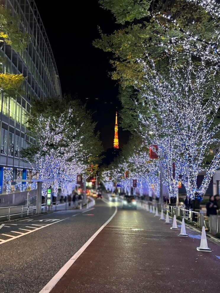 〈危険行為が続出〉「まじカオス」六本木・けやき坂イルミネーションで“映え写真”を求めて車道に飛び出る観光客…警備員の声かけに「ウルサイ」「日本語ワカンナイ」_18