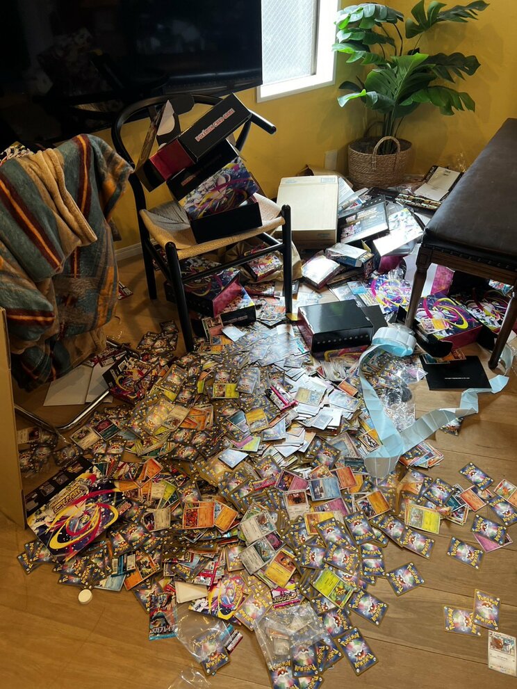 ゴミだけじゃなく、ポケモンカードそのものも