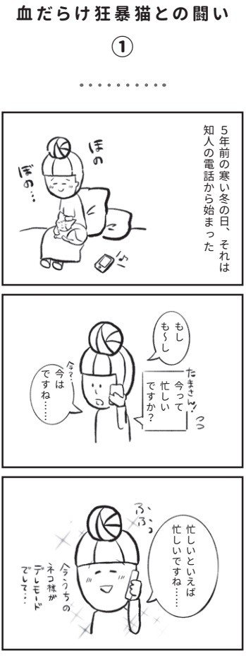 【保護ネコ漫画あり】血だらけ狂暴ネコ“足湯さん”との戦い。警戒心むきだしだった彼が家族となり、どんどん甘えん坊になっていくまで_2