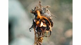 原始の火起こしに挑戦して棒を回し続けて2ヶ月、「週末縄文人」が立ち上る“炎”のなかに見たものとは‥‥後編