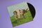 ピンク・フロイドが1970年に発表したアルバム『Atom Heart Mother』のジャケット　写真／Shutterstock