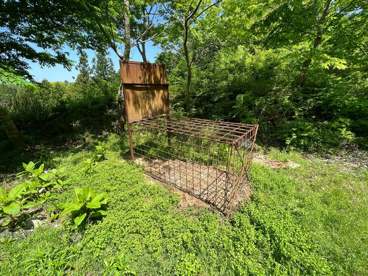 写真はイメージです（PhotoAC）